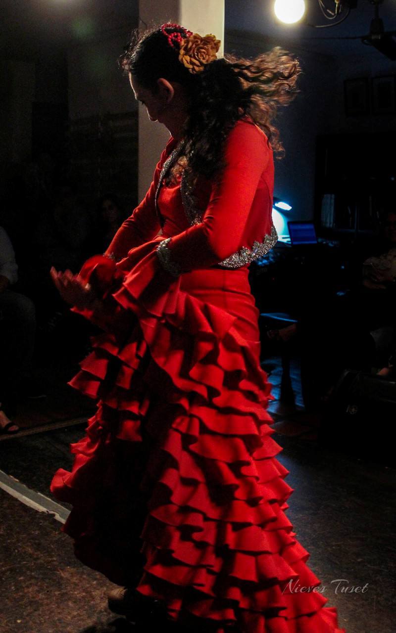 romeria-flamenco-llega-bailes-cantes-esta-noche