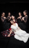 andanzas-compania-presenta-hoy-espectaculo-danza-flamenca-centro-arte